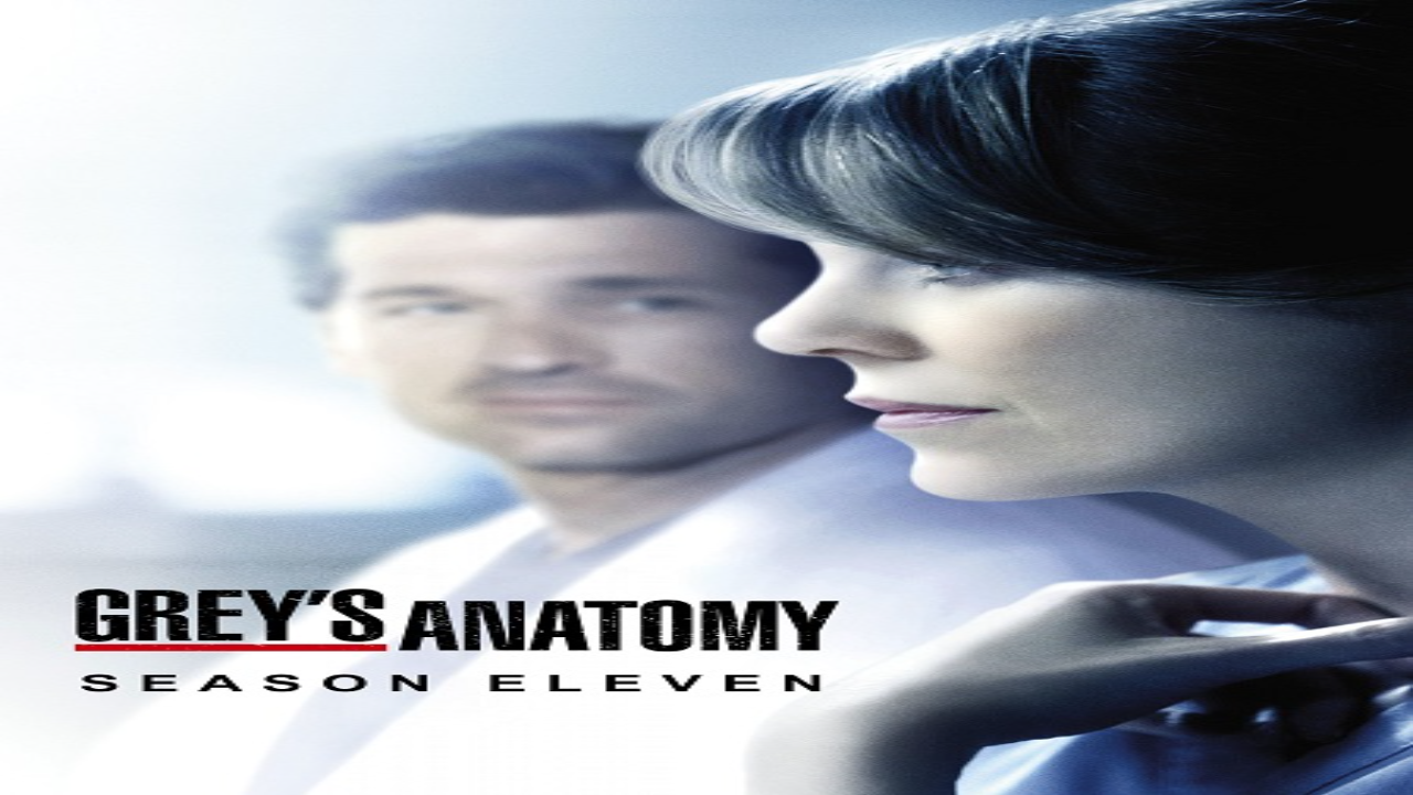 مسلسل Grey’s Anatomy الموسم 11 الحلقة 8 مترجمة كاملة HD
